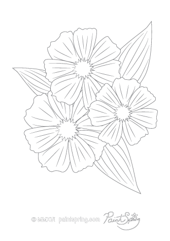 Cosmos Flower Adult Coloring Page