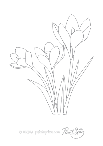 s pages coloring free Book Coloring Printable {Get Pages} 3 Free Adult Flower