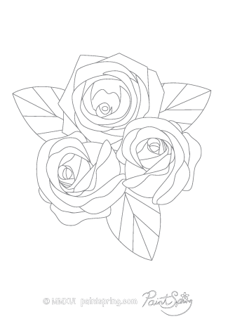 printable flower adult coloring book get 3 free pages