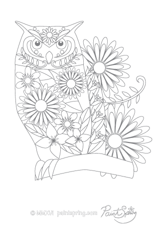 Owl Adult Coloring Page