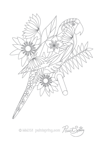 Parrot Adult Coloring Page