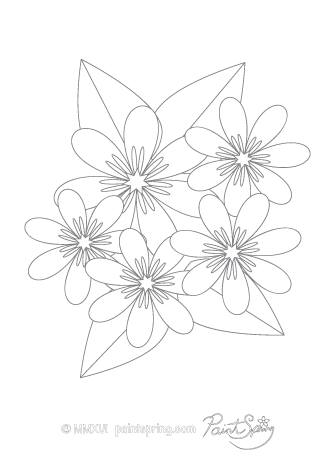 Tahitian Gardenia Flower Adult Coloring Page