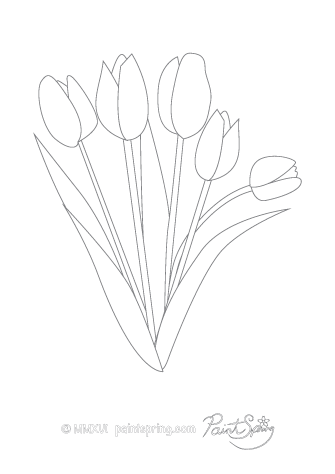 Tulip Flower Adult Coloring Page