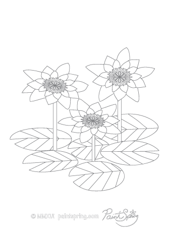 Water Lilies Adult Coloring Page